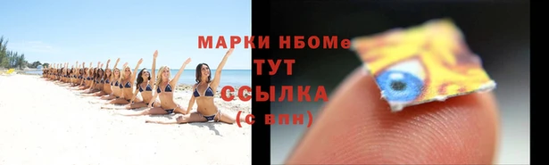 сатива Заволжск