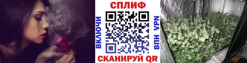 Купить где  Спасск-Дальний  Канабис THC 21% 